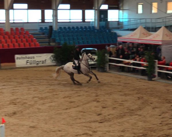 Reitturnier Neustadt/Dosse 2020