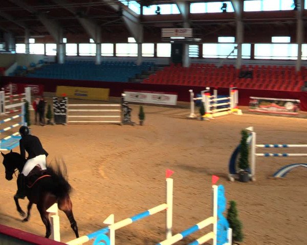 Reitturnier Neustadt/Dosse 2020