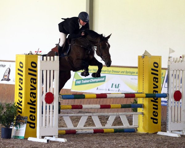 Springpferd Chris' Diara (Oldenburger Springpferd, 2010, von Diarado)