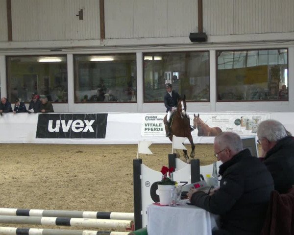 Reitturnier Borken 2020