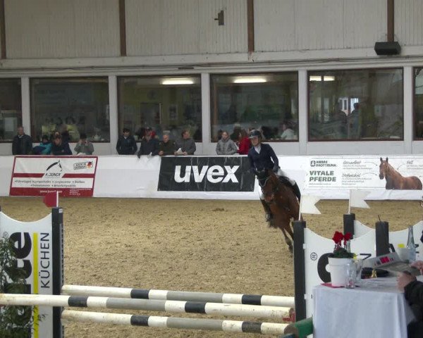 Reitturnier Borken 2020