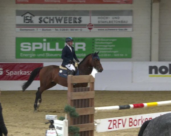 Reitturnier Borken 2020