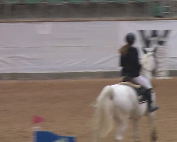 Reitturnier Kreuth/Opf. 2020