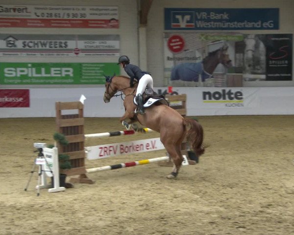 Reitturnier Borken 2020