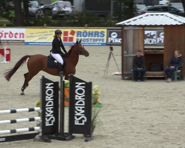 Reitturnier Westergellersen 2021
