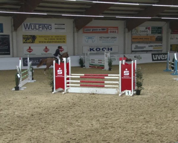 Reitturnier Borken 2020