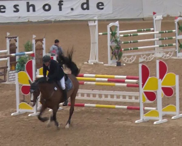 Reitturnier Kreuth/Opf. 2020