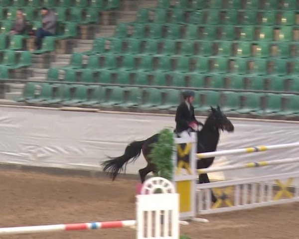 Reitturnier Kreuth/Opf. 2020