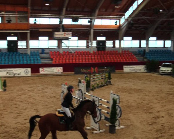 Reitturnier Neustadt/Dosse 2020