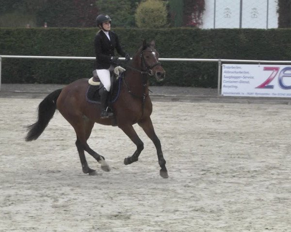 Reitturnier Durmersheim-Hardt 2021