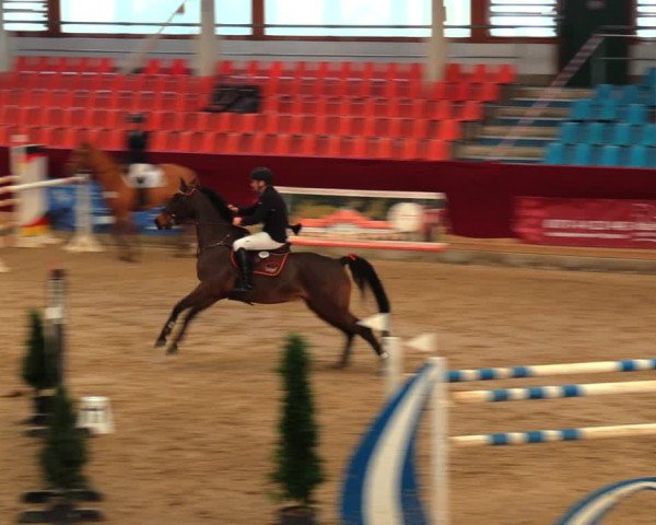 Reitturnier Neustadt/Dosse 2020