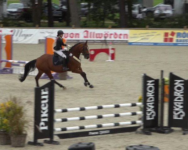 Reitturnier Westergellersen 2021