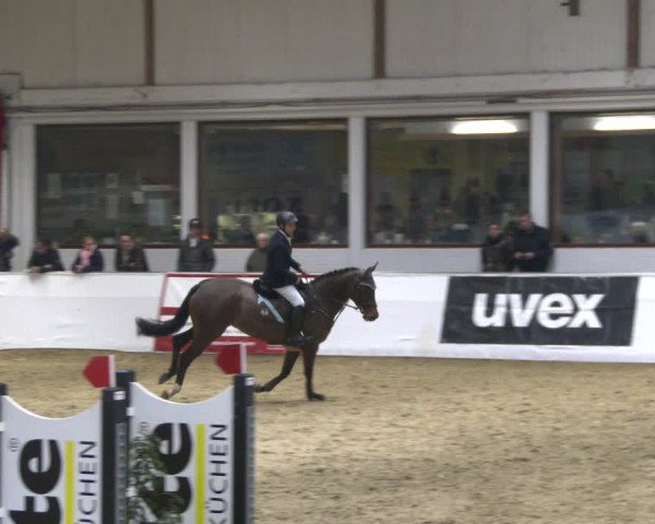 Reitturnier Borken 2020