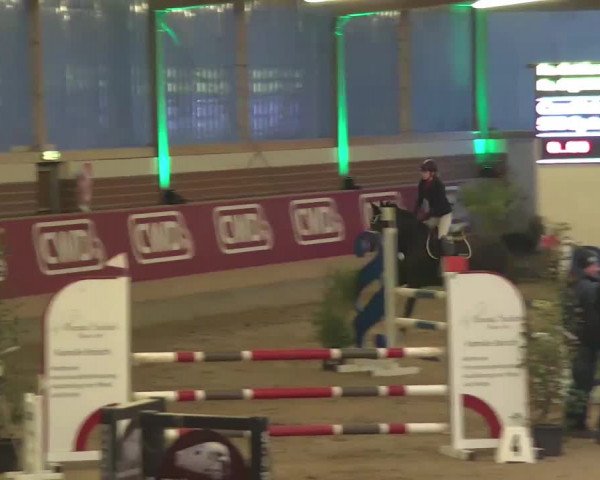 Reitturnier Kaldenkirchen - Gestüt Seehof 2020