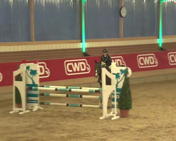 Reitturnier Kaldenkirchen - Gestüt Seehof 2020
