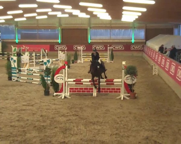 Reitturnier Kaldenkirchen - Gestüt Seehof 2020