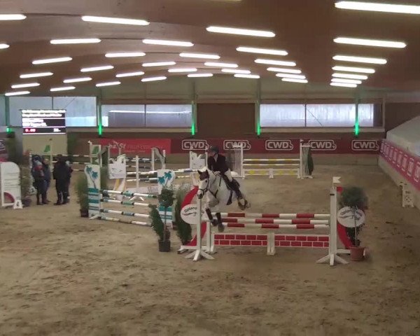 Reitturnier Kaldenkirchen - Gestüt Seehof 2020