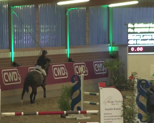 Reitturnier Kaldenkirchen - Gestüt Seehof 2020