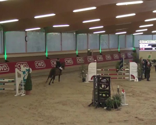 Reitturnier Kaldenkirchen - Gestüt Seehof 2020