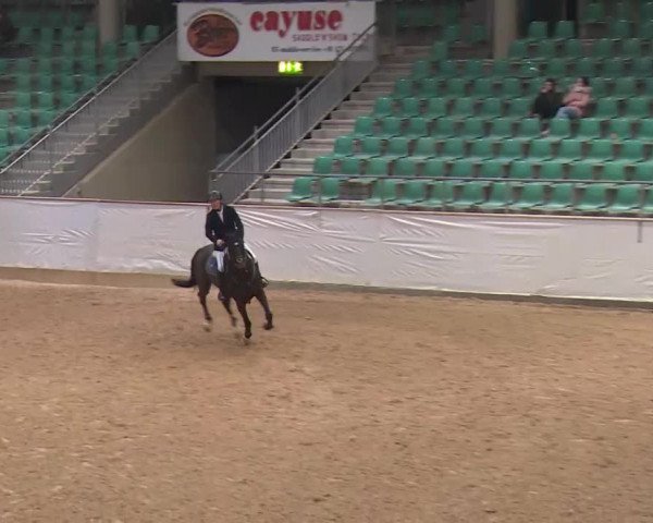 Reitturnier Kreuth/Opf. 2020