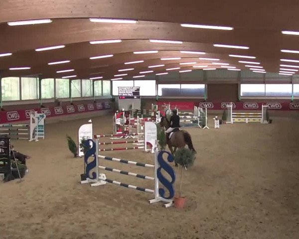 Reitturnier Kaldenkirchen - Gestüt Seehof 2020