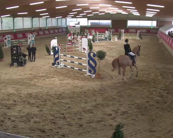 Reitturnier Kaldenkirchen - Gestüt Seehof 2020