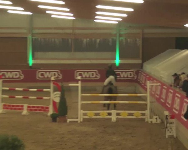 Reitturnier Kaldenkirchen - Gestüt Seehof 2020