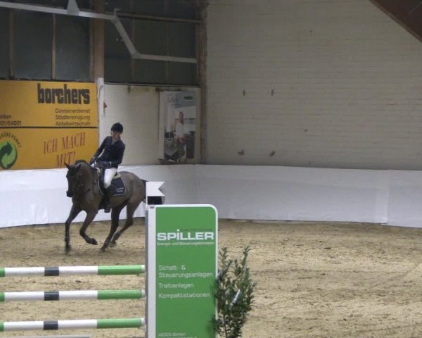 Reitturnier Borken 2020