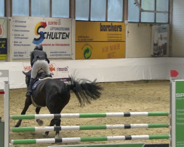 Reitturnier Borken 2020
