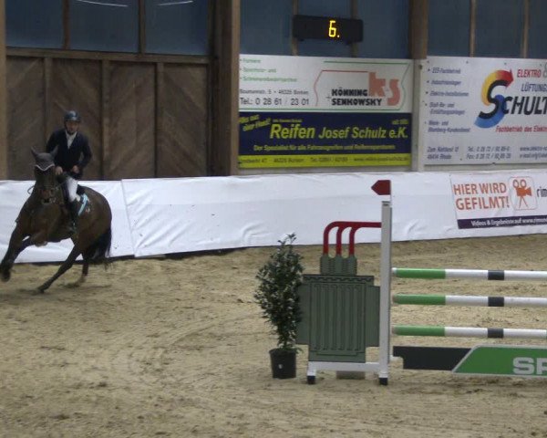 Reitturnier Borken 2020