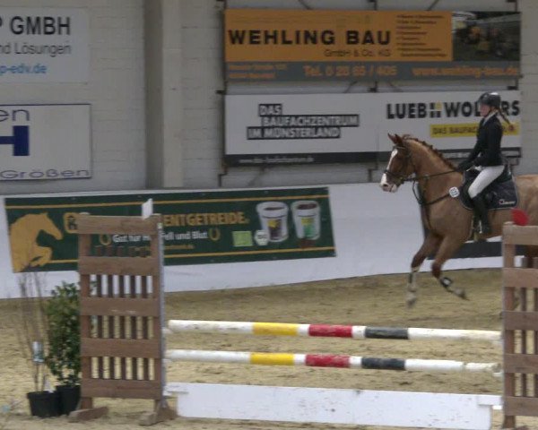 Reitturnier Borken 2020