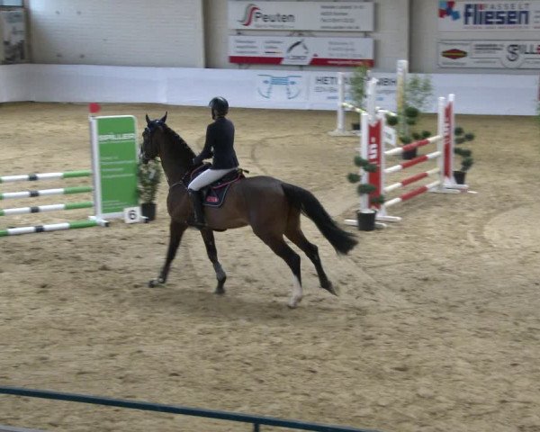 Reitturnier Borken 2020