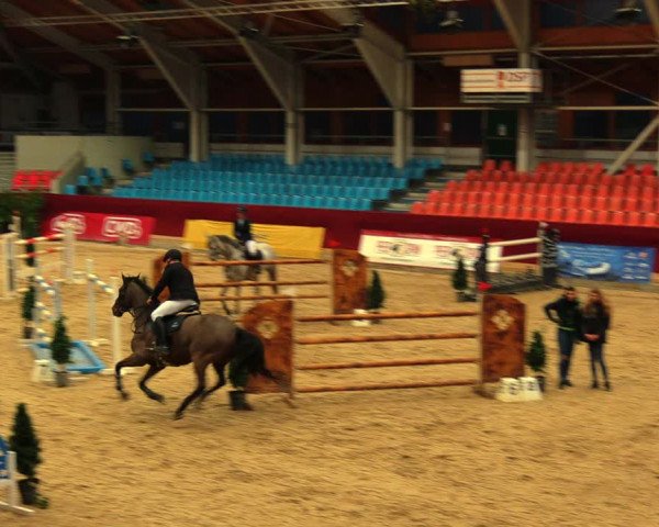 Reitturnier Neustadt/Dosse 2020