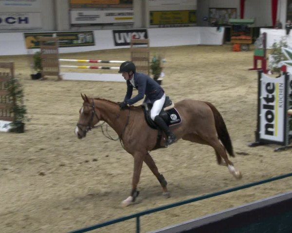 Reitturnier Borken 2020