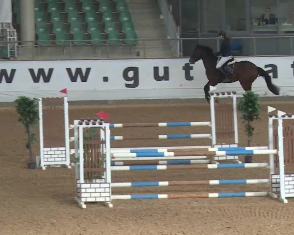 Reitturnier Kreuth/Opf. 2020