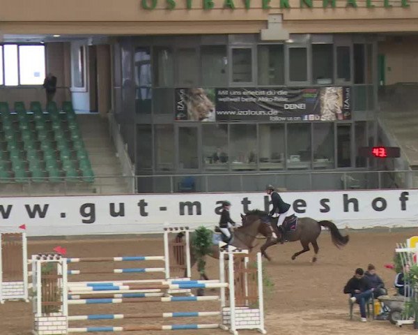 Reitturnier Kreuth/Opf. 2020