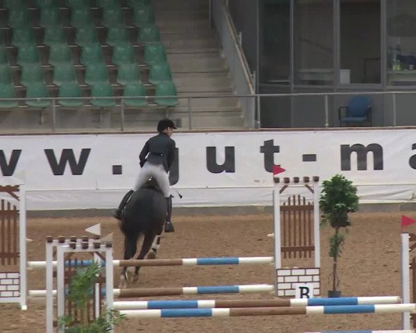 Reitturnier Kreuth/Opf. 2020