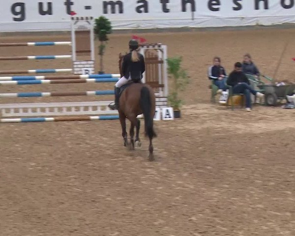 Reitturnier Kreuth/Opf. 2020