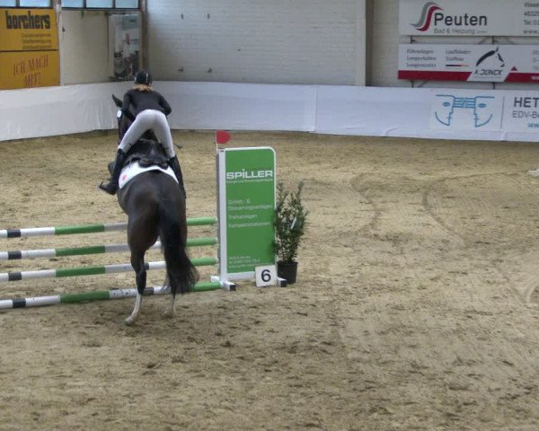 Reitturnier Borken 2020