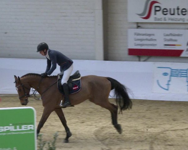 Reitturnier Borken 2020