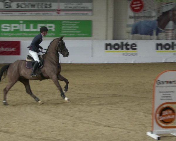 Reitturnier Borken 2020