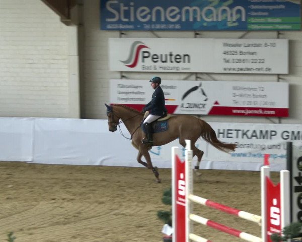 Reitturnier Borken 2020