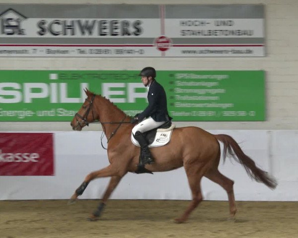 Reitturnier Borken 2020
