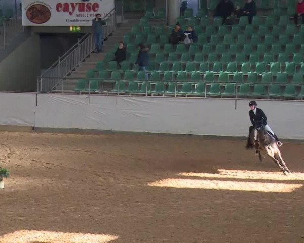 Reitturnier Kreuth/Opf. 2020