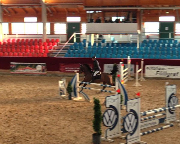 Reitturnier Neustadt/Dosse 2020