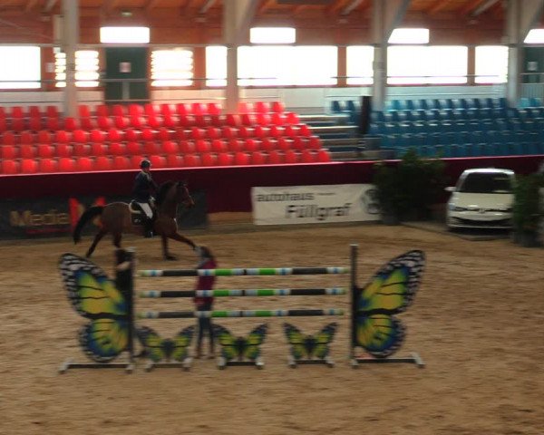 Reitturnier Neustadt/Dosse 2020