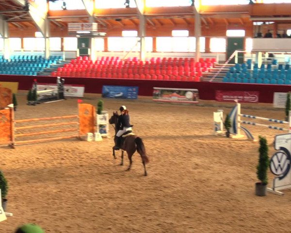 Reitturnier Neustadt/Dosse 2020