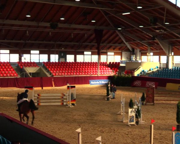 Reitturnier Neustadt/Dosse 2020
