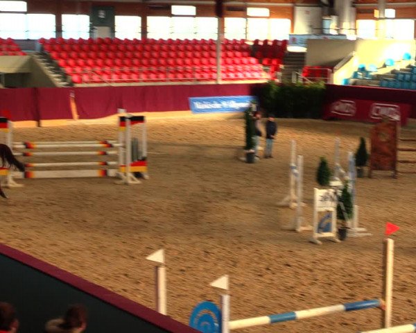 Reitturnier Neustadt/Dosse 2020