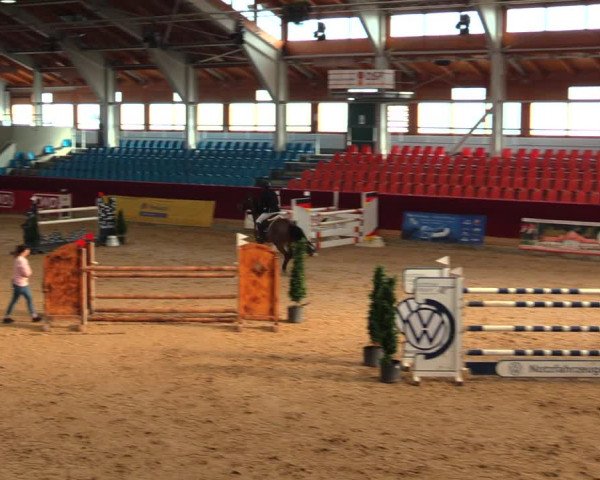 Reitturnier Neustadt/Dosse 2020